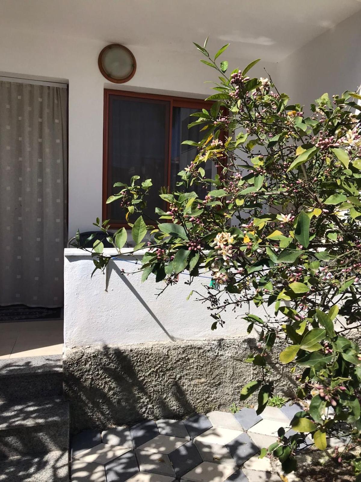 Vila Cano Hotell Durrës Eksteriør bilde